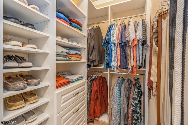 view of spacious closet