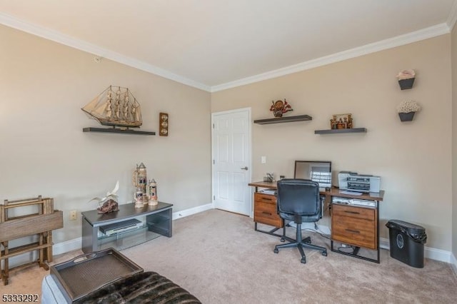 office with crown molding and carpet flooring