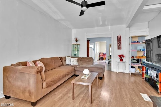 living room featuring ceiling fan and light hardwood / wood-style flooring