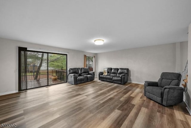 living room featuring wood-type flooring