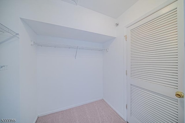 spacious closet featuring light colored carpet