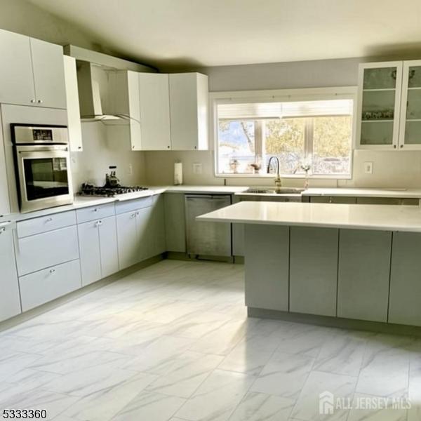 kitchen featuring sink, white cabinets, appliances with stainless steel finishes, and wall chimney exhaust hood