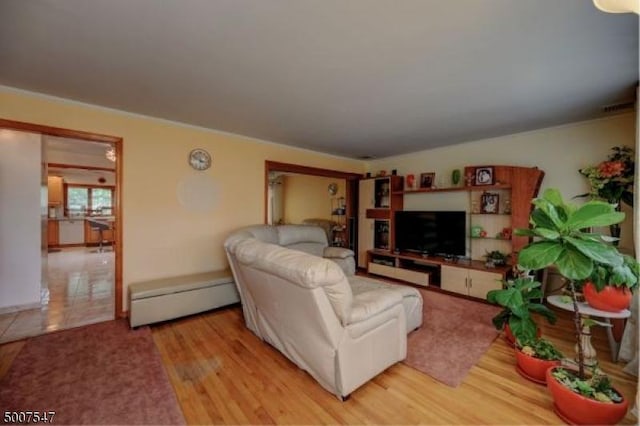 living room with light hardwood / wood-style floors and a baseboard radiator