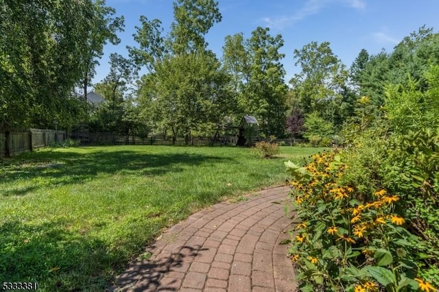 view of yard with a patio area