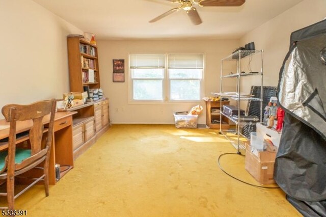 4 Webster Rd, Franklin Twp, NJ 08873 - storage area featuring ceiling fan