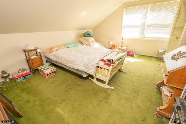 4 Webster Rd, Franklin Twp, NJ 08873 - bedroom featuring vaulted ceiling and carpet