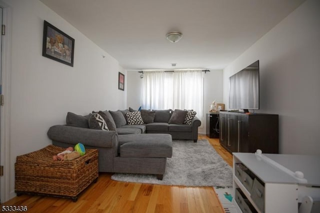 living room featuring light hardwood / wood-style floors