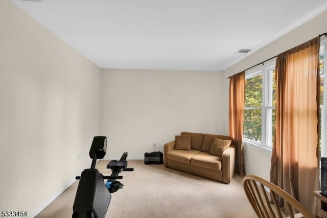 exercise room featuring carpet