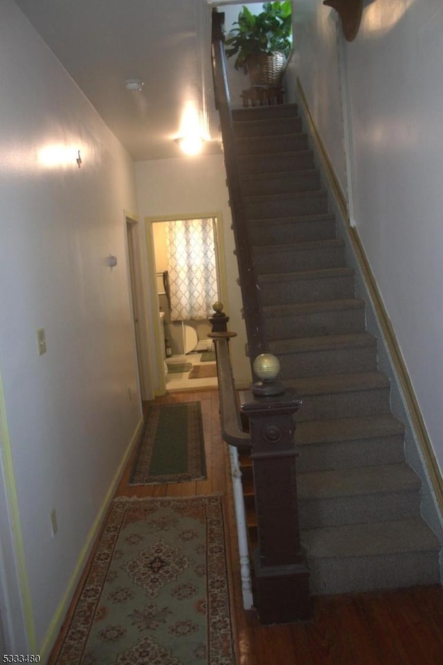 staircase featuring wood-type flooring