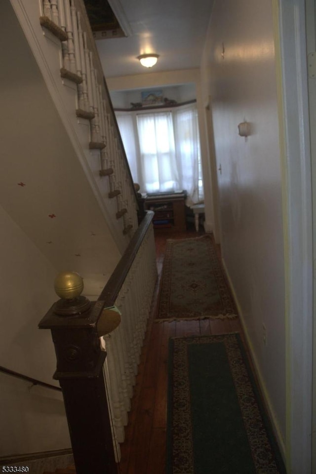 hallway featuring dark wood-type flooring