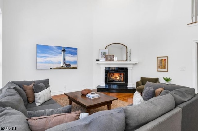 living room featuring wood-type flooring