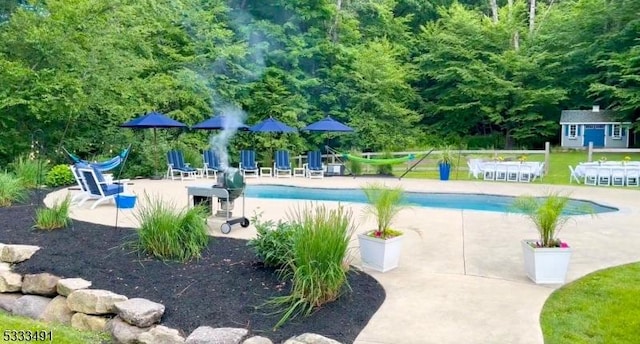 view of swimming pool with a storage unit