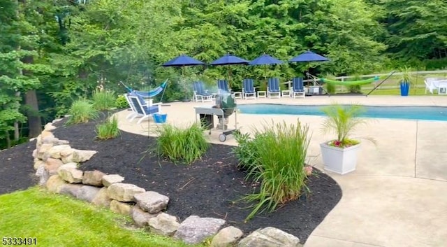 view of pool featuring a patio area