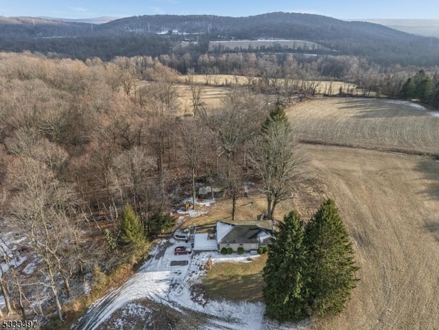 drone / aerial view with a mountain view and a rural view