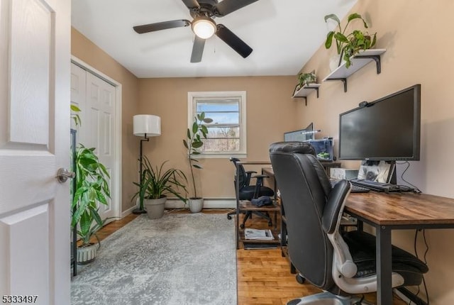 office featuring light hardwood / wood-style flooring and ceiling fan