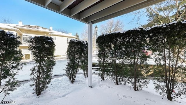 view of yard covered in snow