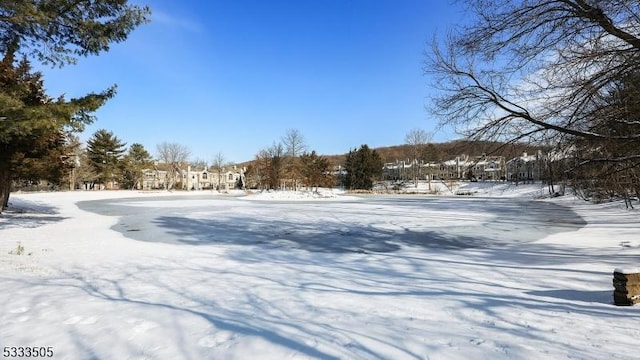 view of snowy yard