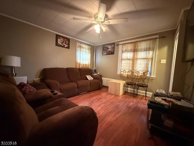 living room with ceiling fan, radiator heating unit, crown molding, and hardwood / wood-style flooring