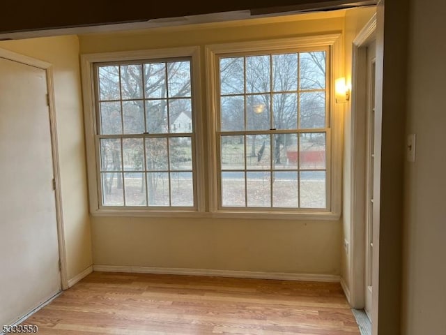 entryway with light wood-type flooring and a wealth of natural light