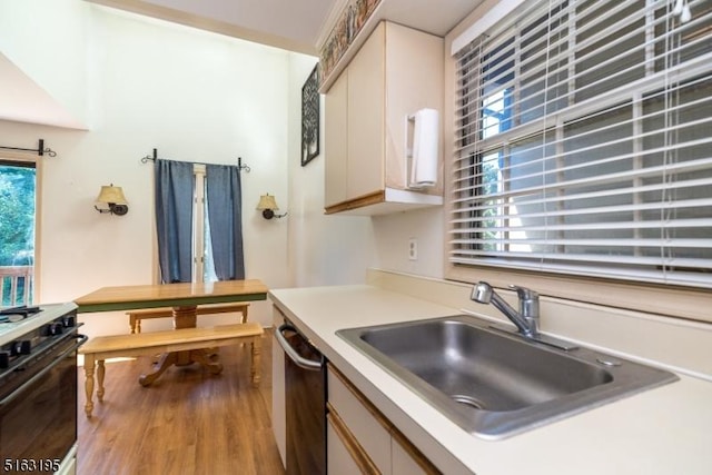 kitchen featuring sink, dishwasher, a wealth of natural light, and range