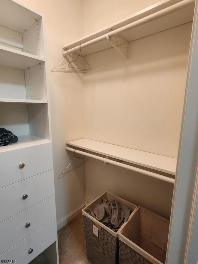 view of walk in closet