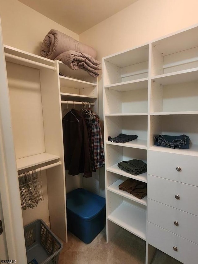 view of walk in closet