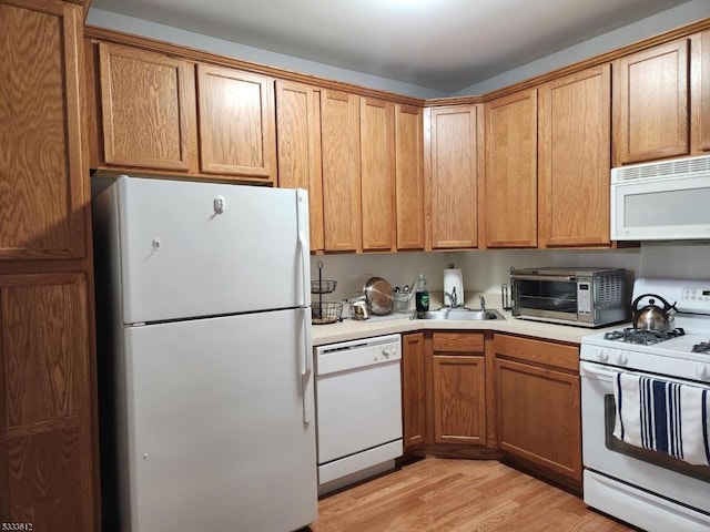 kitchen with sink, white appliances, and light hardwood / wood-style flooring