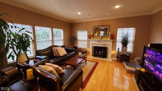 living room with ornamental molding and light hardwood / wood-style flooring