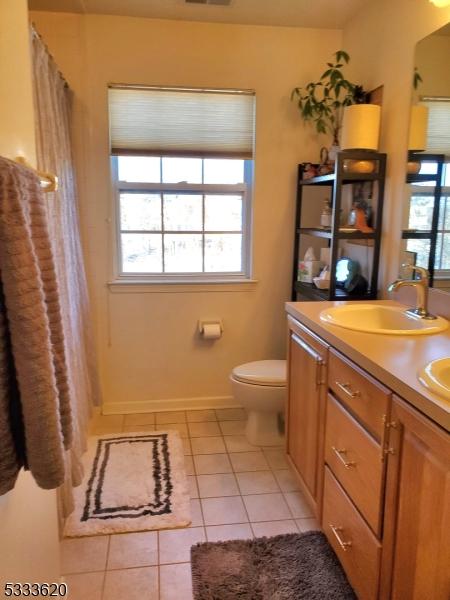 bathroom featuring toilet, a healthy amount of sunlight, vanity, and tile patterned floors