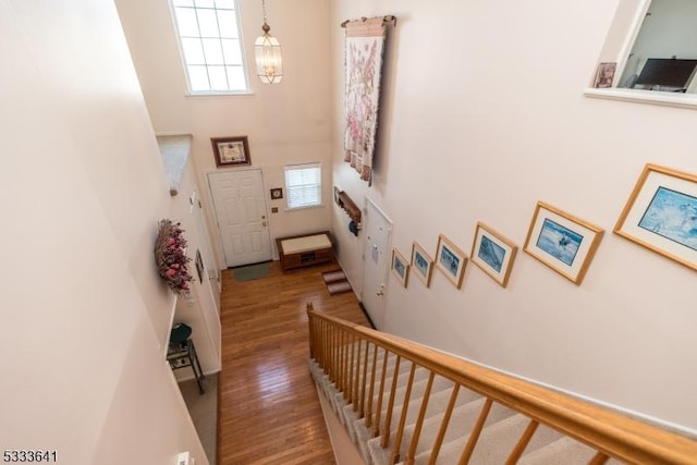 foyer entrance featuring a high ceiling, hardwood / wood-style floors, and a notable chandelier