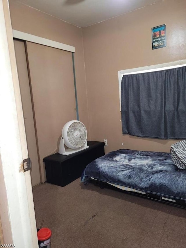 bedroom with carpet floors and a closet