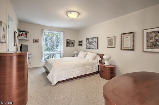 bedroom with carpet floors