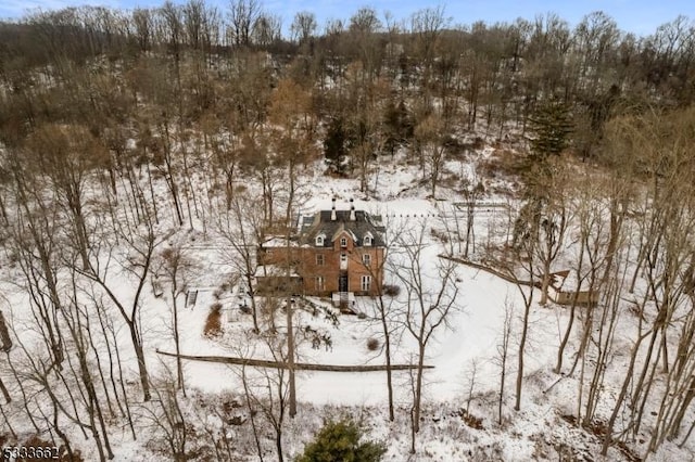 view of snowy aerial view