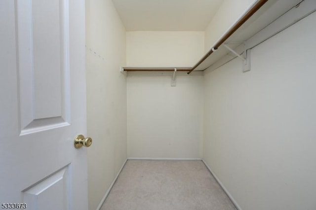 spacious closet featuring light colored carpet