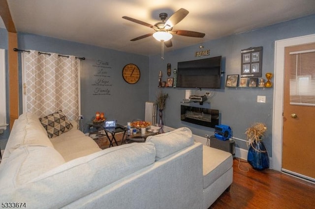 living room with ceiling fan, radiator, and dark hardwood / wood-style floors