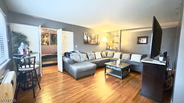 living room with wood-type flooring