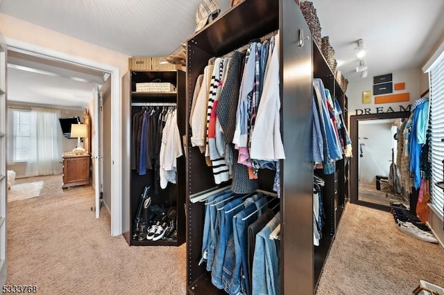 spacious closet featuring carpet flooring