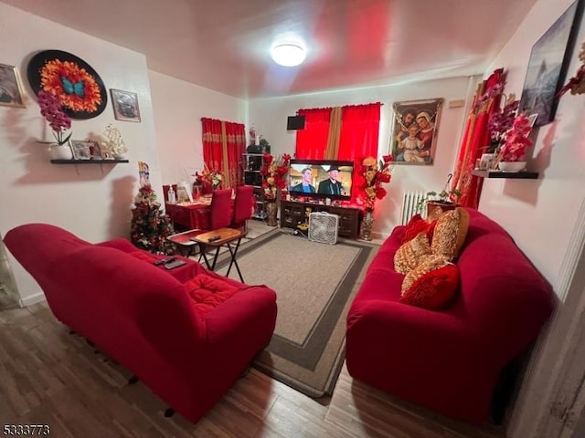 living room with hardwood / wood-style floors