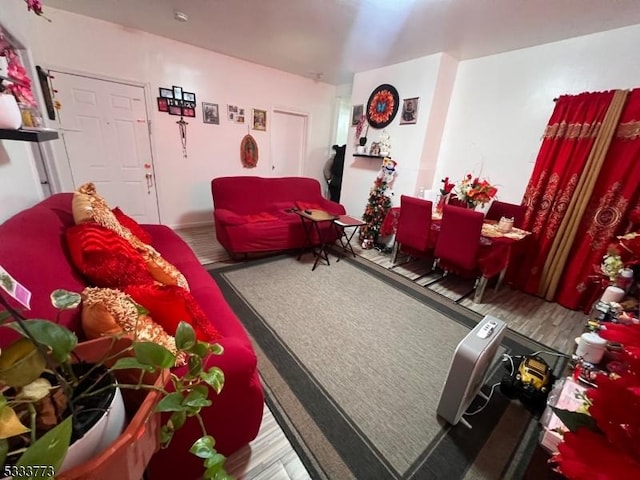 living room with wood-type flooring