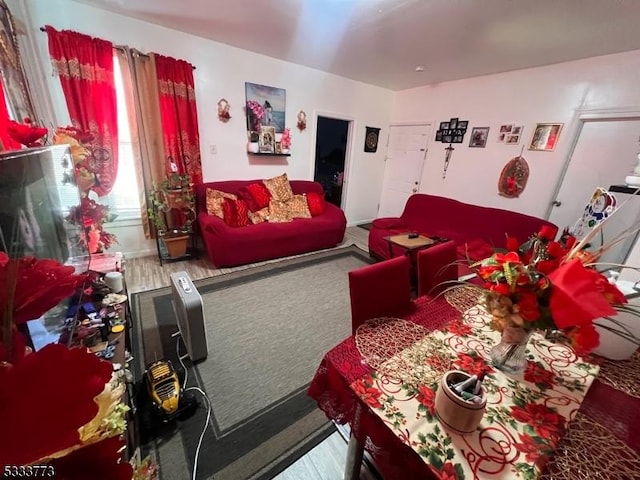 living room featuring hardwood / wood-style flooring