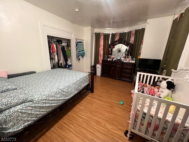 bedroom featuring wood-type flooring and a closet