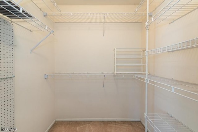 walk in closet featuring carpet floors