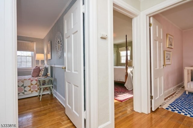 hall with crown molding, a wealth of natural light, and light hardwood / wood-style flooring