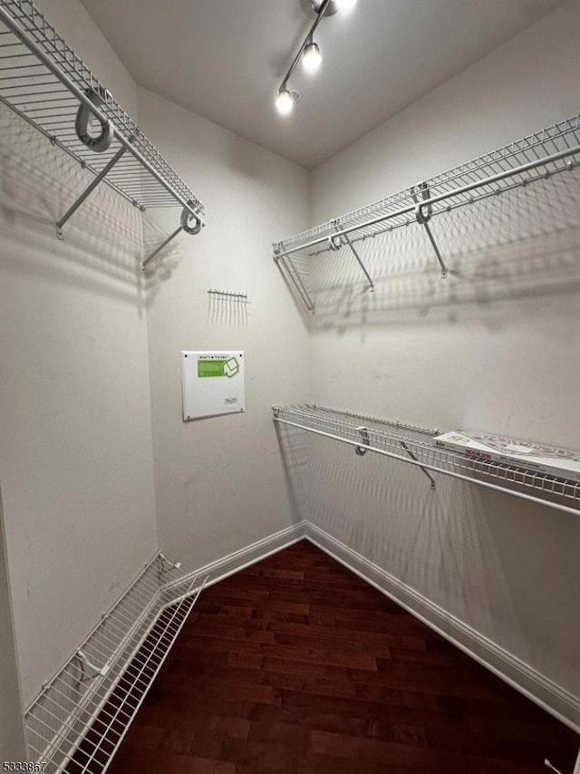 spacious closet featuring hardwood / wood-style floors