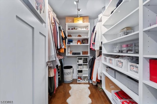 walk in closet with dark hardwood / wood-style floors