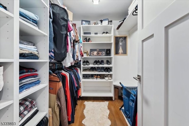 spacious closet featuring hardwood / wood-style flooring