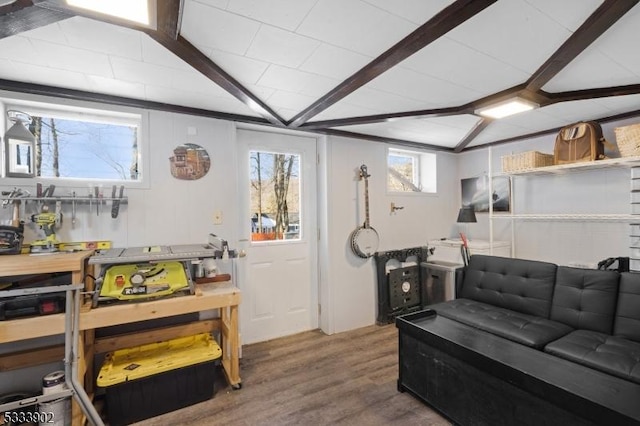 living room featuring hardwood / wood-style flooring