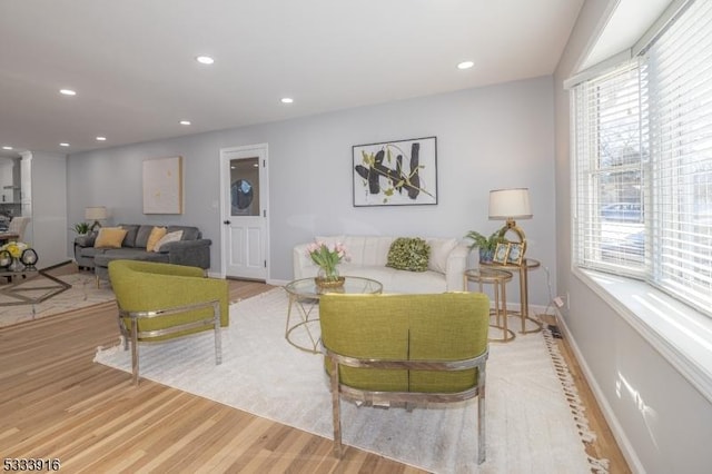 living room with wood-type flooring and plenty of natural light