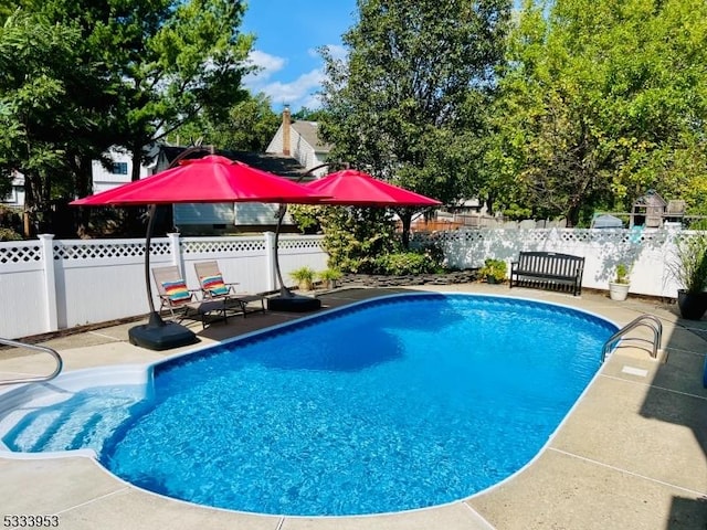 view of pool featuring a fenced backyard, a fenced in pool, and a patio