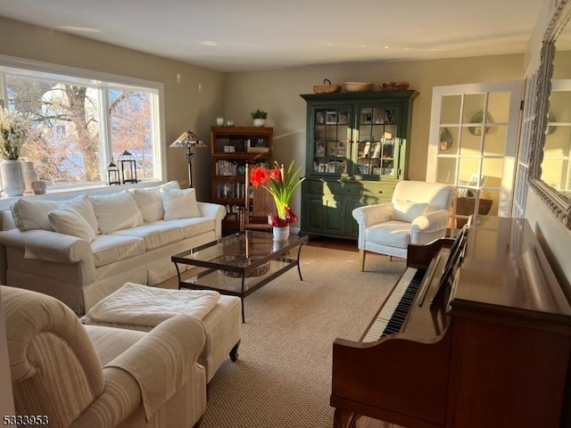 living area with carpet floors